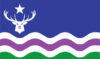 Shows the Exmoor Flag: wavy horizontal lines of green, white, purple and white' above is a blue field bearing a stag's head with star above, both in white