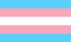 International Transgender Day of Remembrance